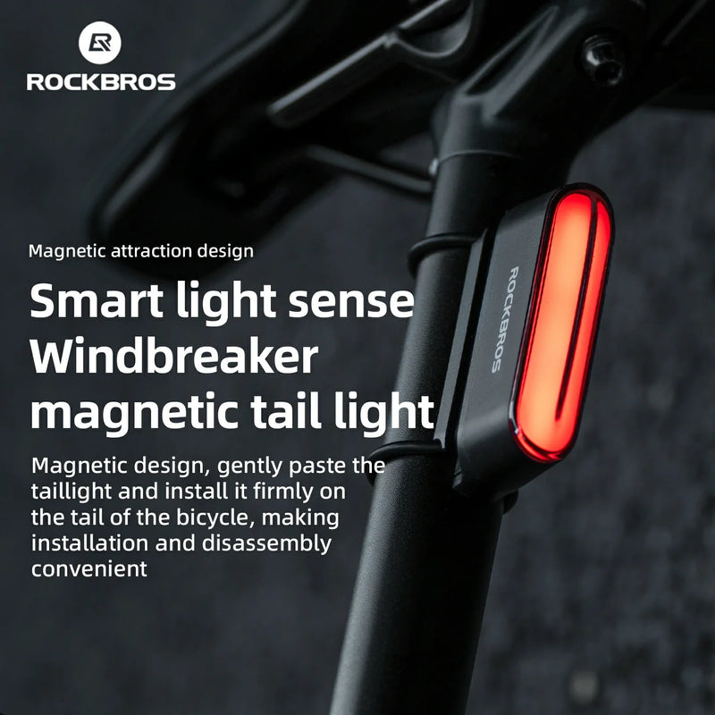 Load image into Gallery viewer, Magnetic Tail Light Brake Sense USB-C
