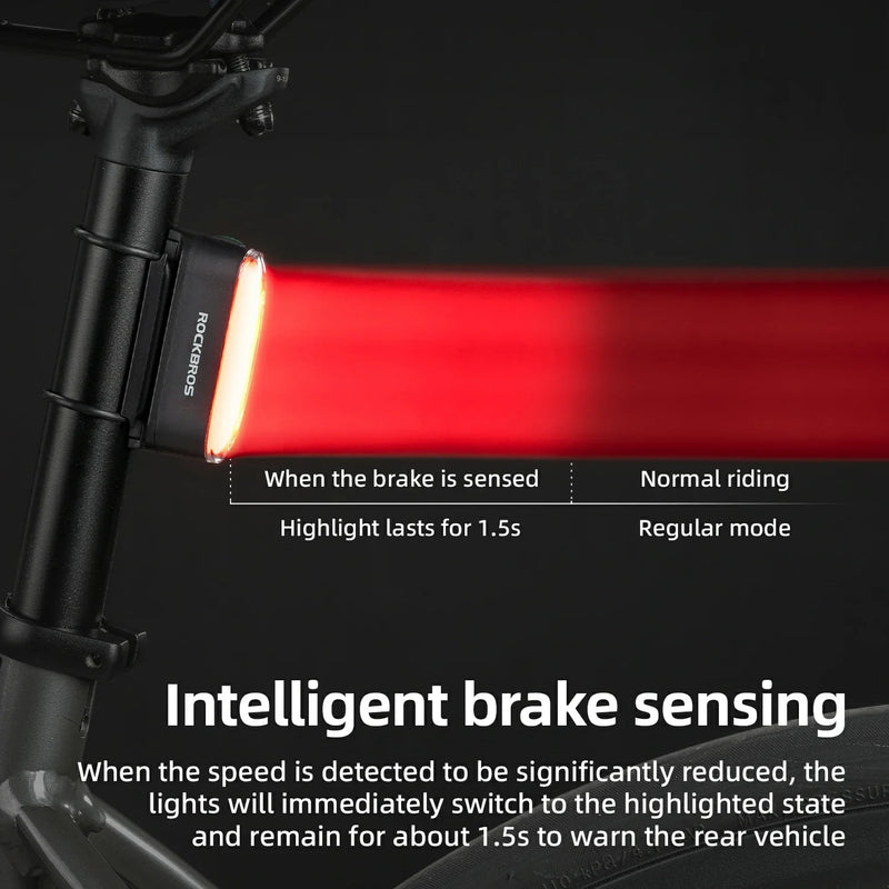 Load image into Gallery viewer, Magnetic Tail Light Brake Sense USB-C
