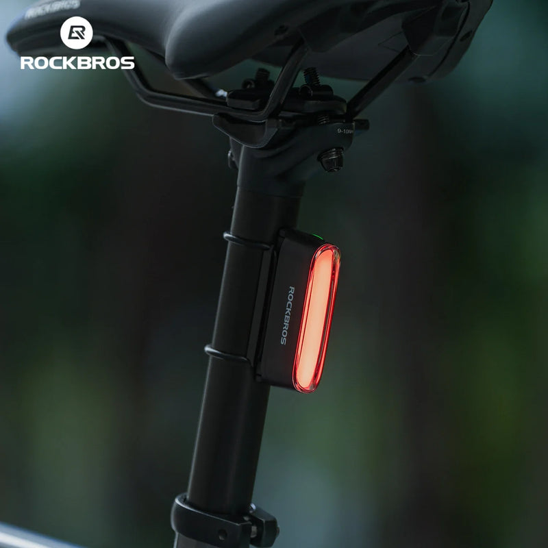 Load image into Gallery viewer, Magnetic Tail Light Brake Sense USB-C
