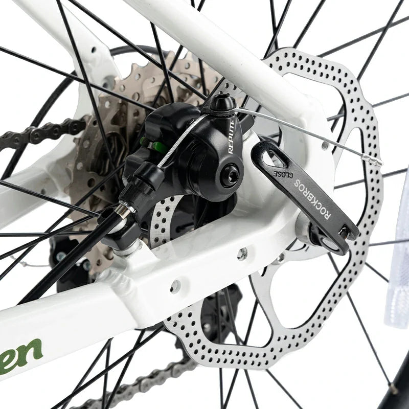 Load image into Gallery viewer, Teen 22-Inch Road Bike
