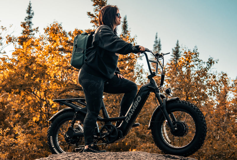 Load image into Gallery viewer, Revolt AWD Step Thru Bike
