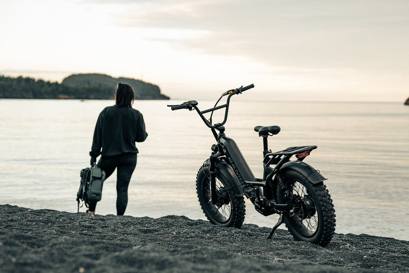 Load image into Gallery viewer, Revolt AWD Step Thru Bike
