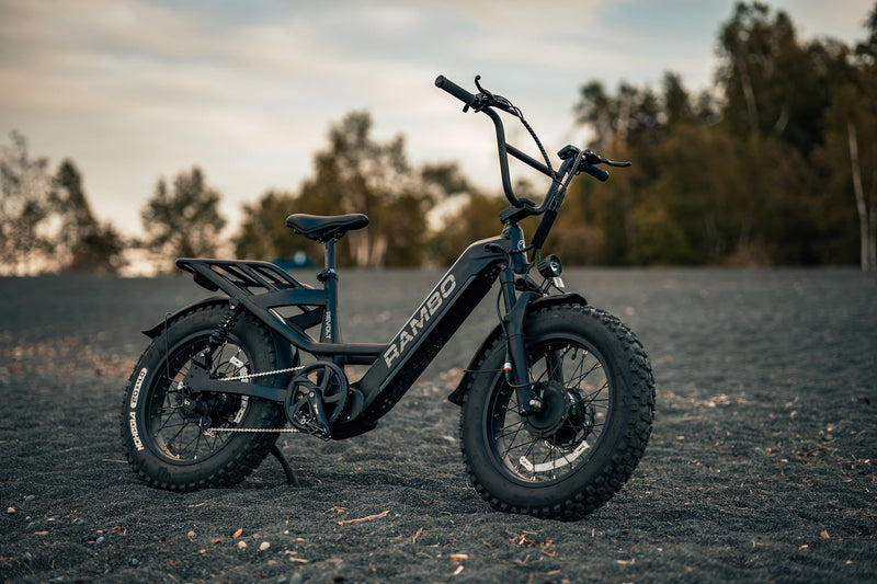 Load image into Gallery viewer, Revolt AWD Step Thru Bike
