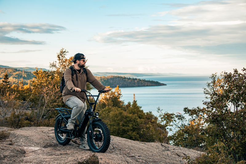 Load image into Gallery viewer, Revolt AWD Step Thru Bike
