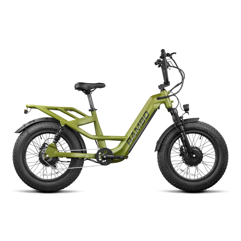 Load image into Gallery viewer, Revolt AWD Step Thru Bike
