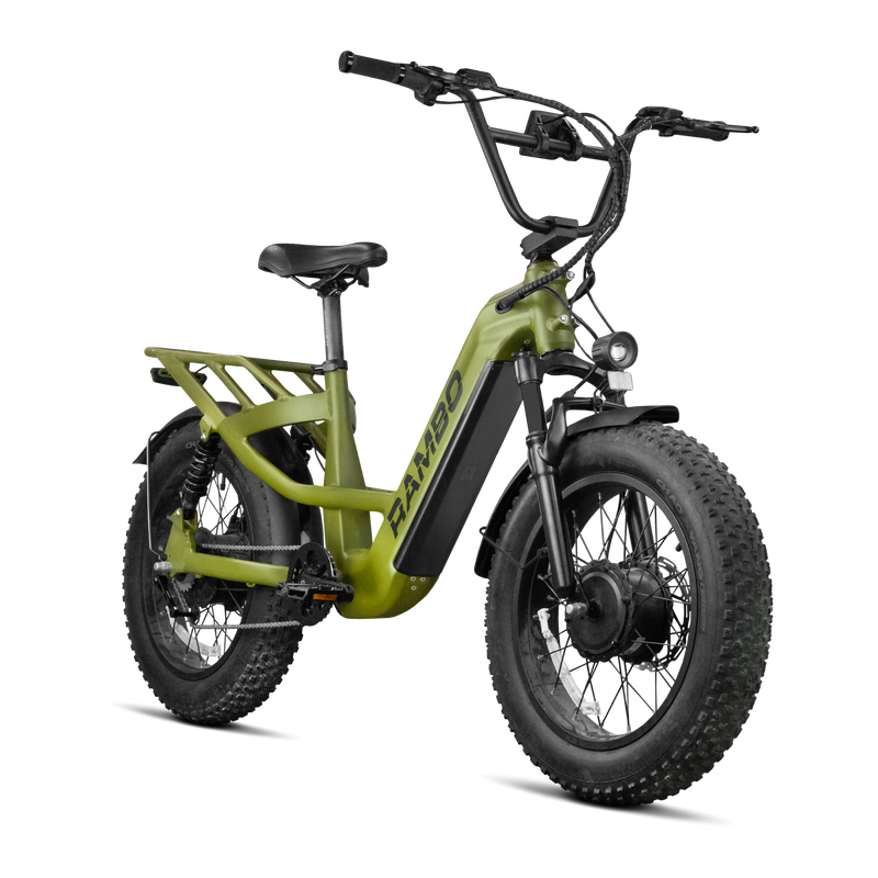 Load image into Gallery viewer, Revolt AWD Step Thru Bike
