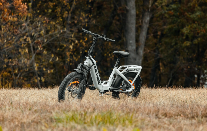 Load image into Gallery viewer, Ranger Folding E-Bike
