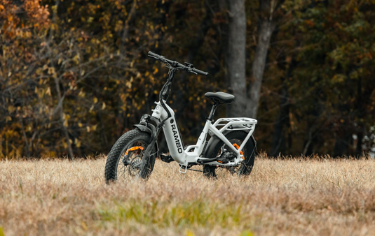 Ranger Folding E-Bike