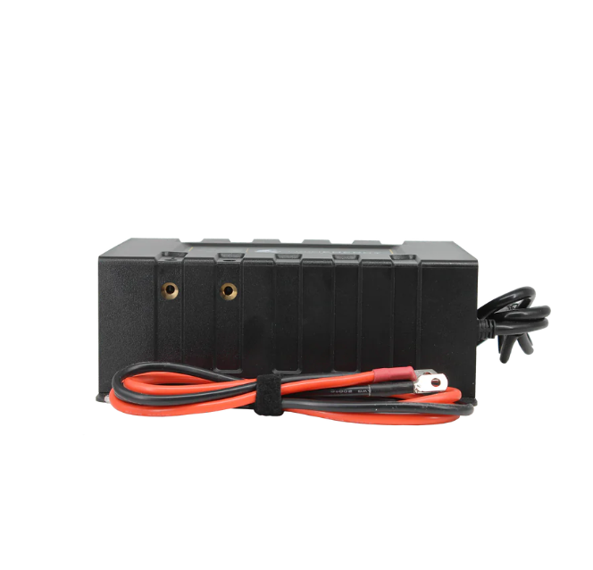 Load image into Gallery viewer, Lion Energy Savanna 45A Battery Charger
