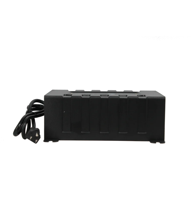 Load image into Gallery viewer, Lion Energy Savanna 45A Battery Charger
