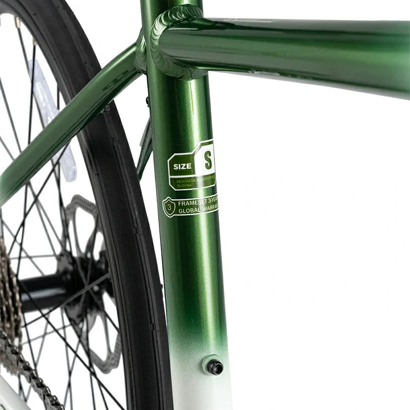 Load image into Gallery viewer, Teen 22-Inch Road Bike
