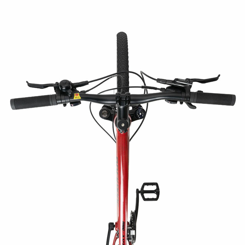 Load image into Gallery viewer, MT300-Mountain Bike
