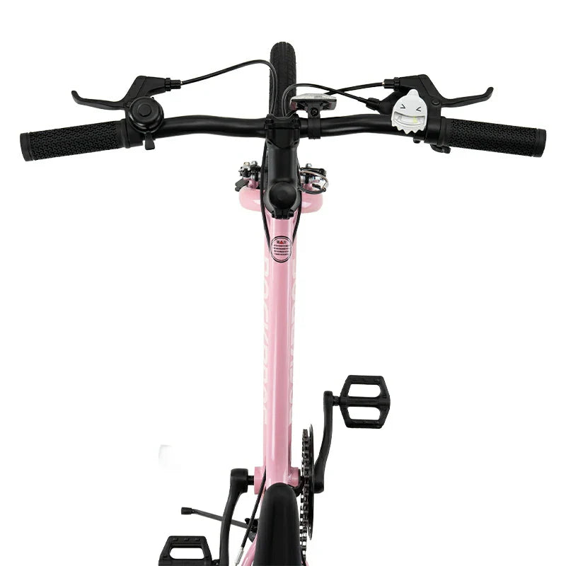 Load image into Gallery viewer, Future Star - Kids Bike
