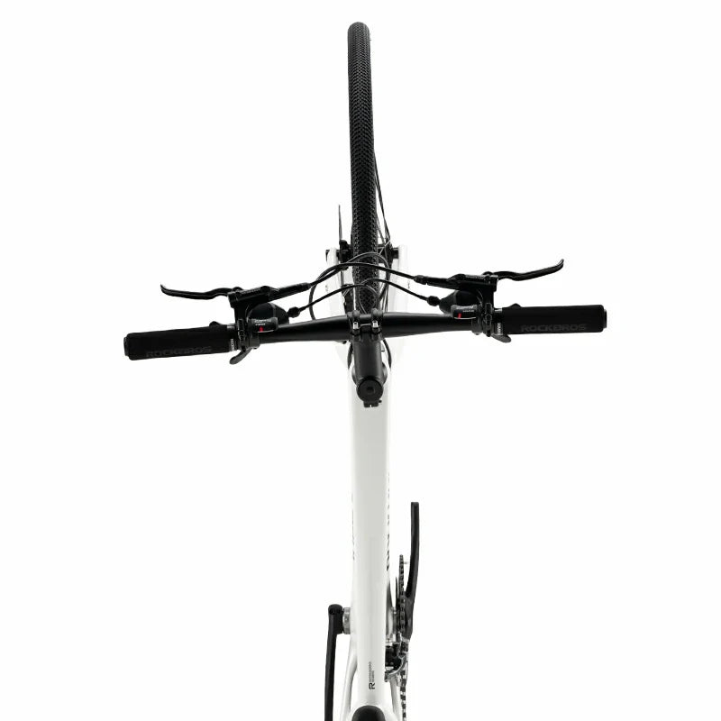 Load image into Gallery viewer, LynxFox - Carbon Fiber Road Bike
