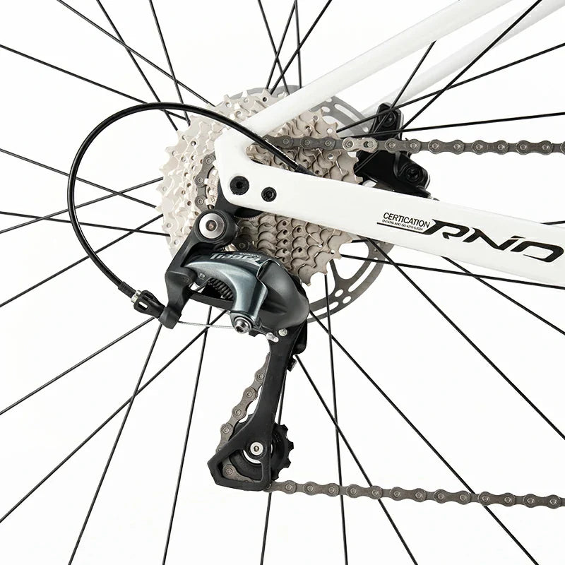 Load image into Gallery viewer, LynxFox - Carbon Fiber Road Bike
