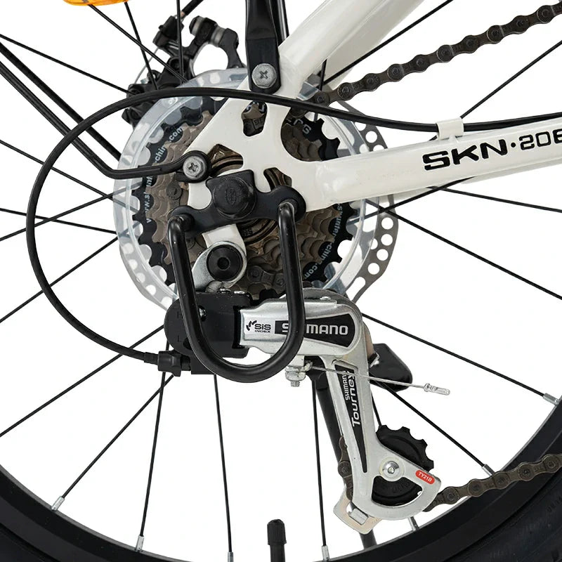 Load image into Gallery viewer, SKN - Folding Bike

