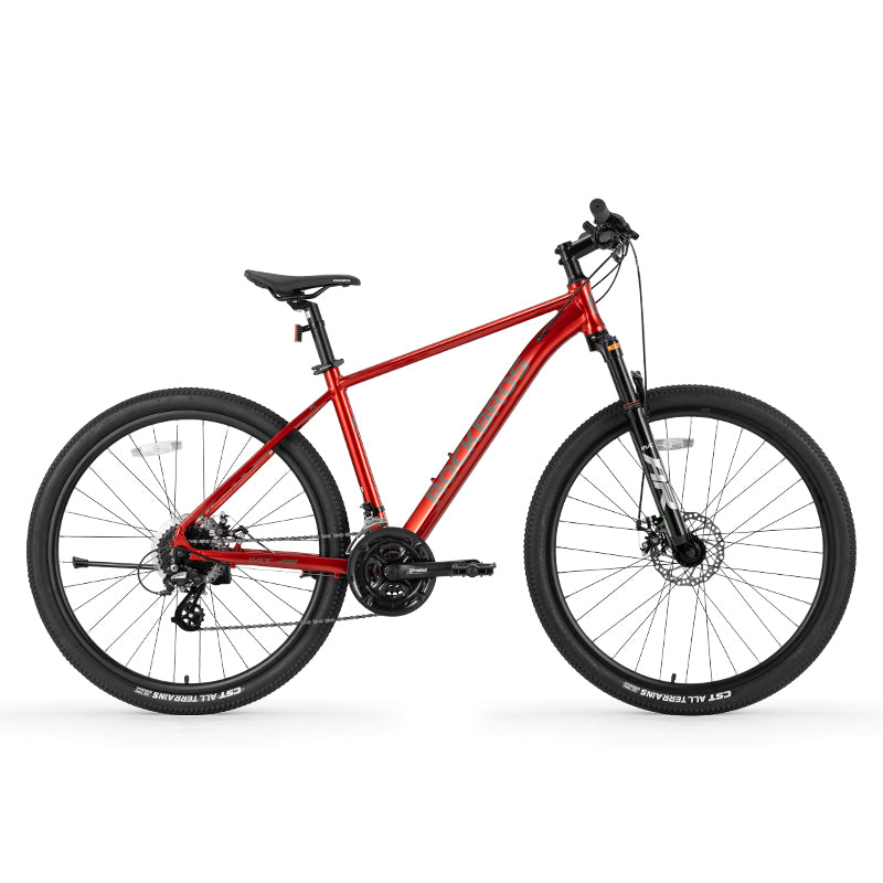 Load image into Gallery viewer, MT200 - Mountain Bike
