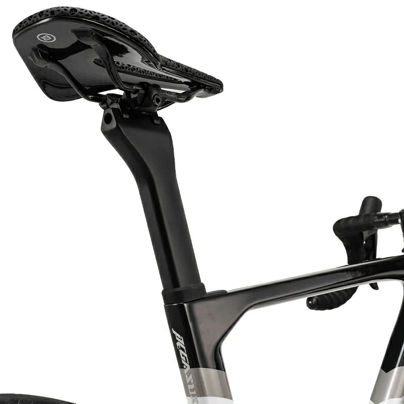 Load image into Gallery viewer, PGZ - Carbon Fiber Road Bike –  Black and White
