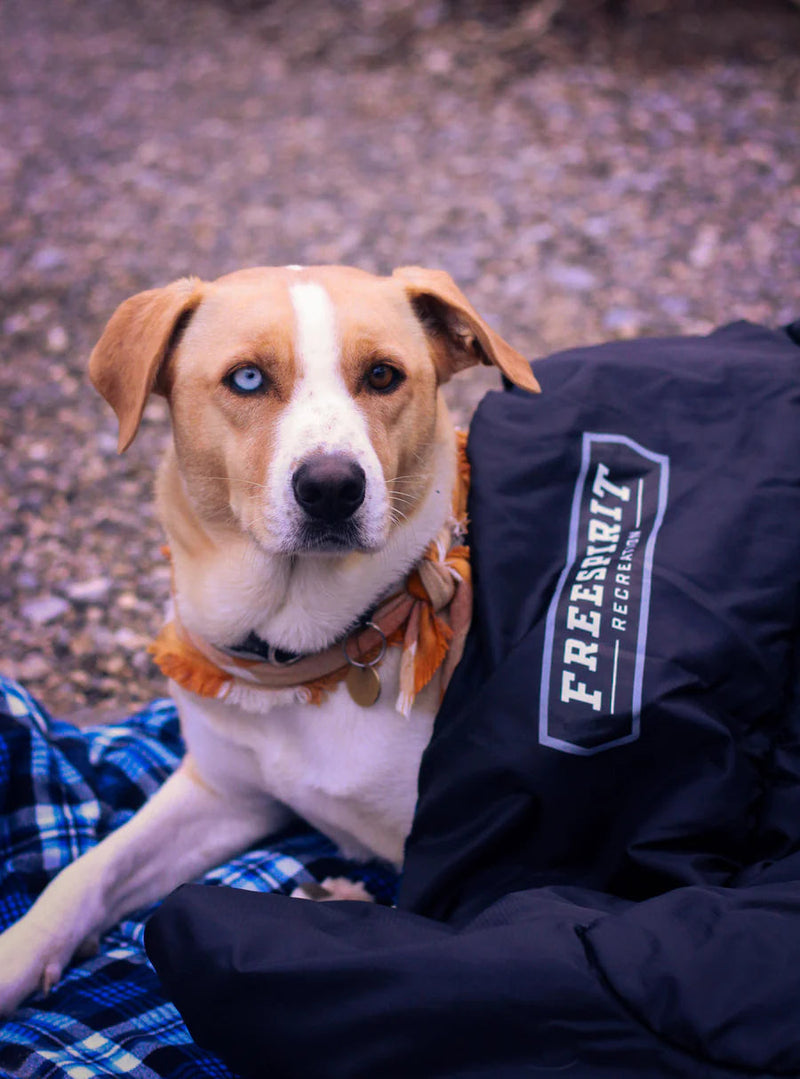 Load image into Gallery viewer, Freespirit Recreation branded sleeping bag with a dog sitting next to it on a camping trip
