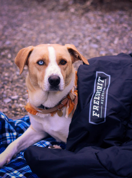 Freespirit Recreation branded sleeping bag with a dog sitting next to it on a camping trip