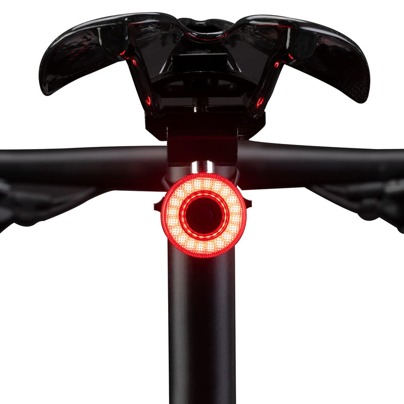 Load image into Gallery viewer, Tail Light Break Sense USB-C IPX7
