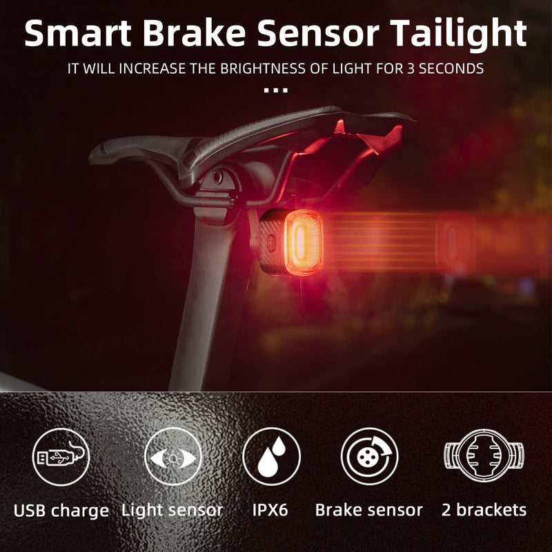 Load image into Gallery viewer, R2 Tail Light Brake Sense USB-C
