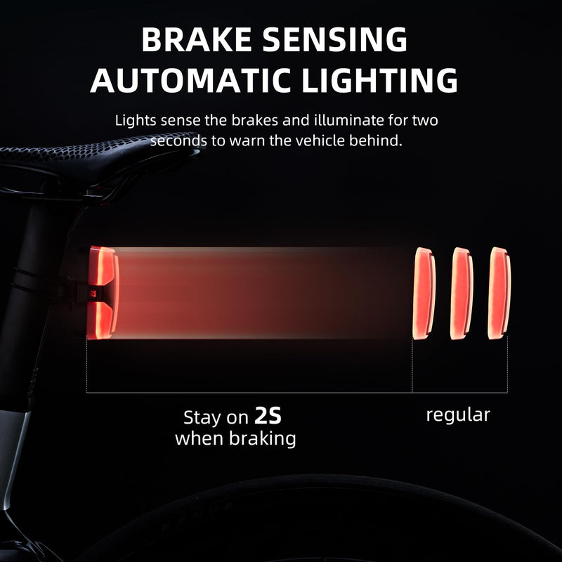 Load image into Gallery viewer, Tail Light Brake Sense USB
