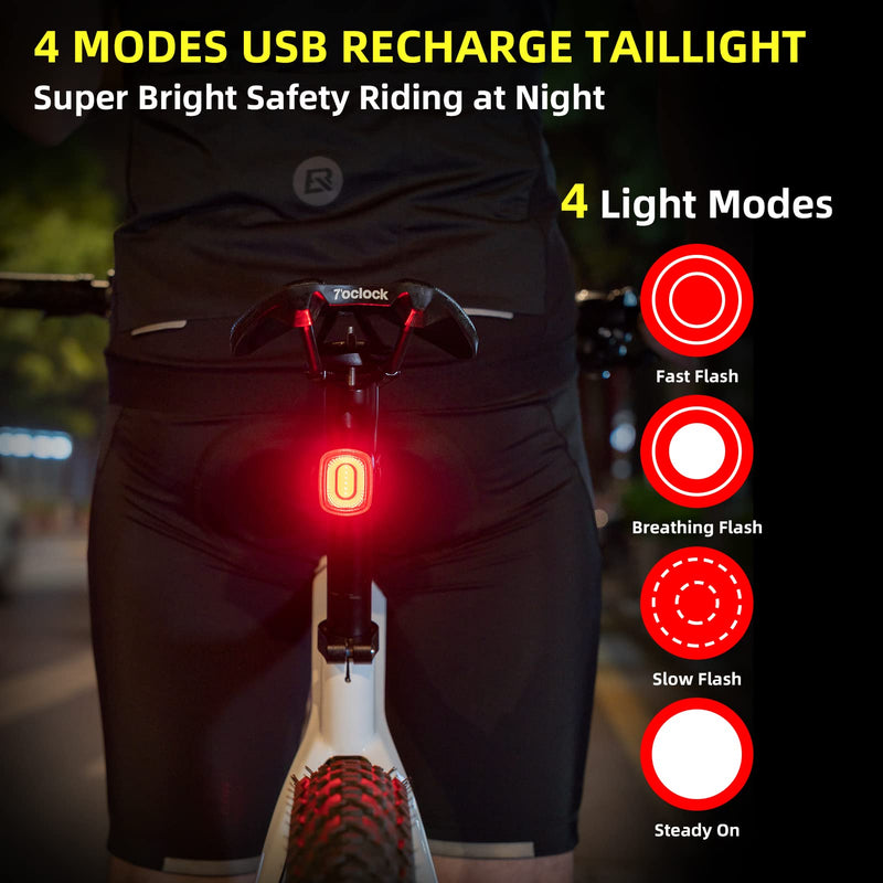 Load image into Gallery viewer, R2 Tail Light Brake Sense USB-C
