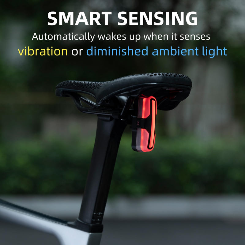Load image into Gallery viewer, Tail Light Brake Sense USB
