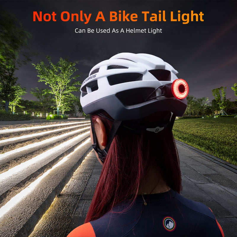 Load image into Gallery viewer, Tail Light Break Sense USB-C IPX7

