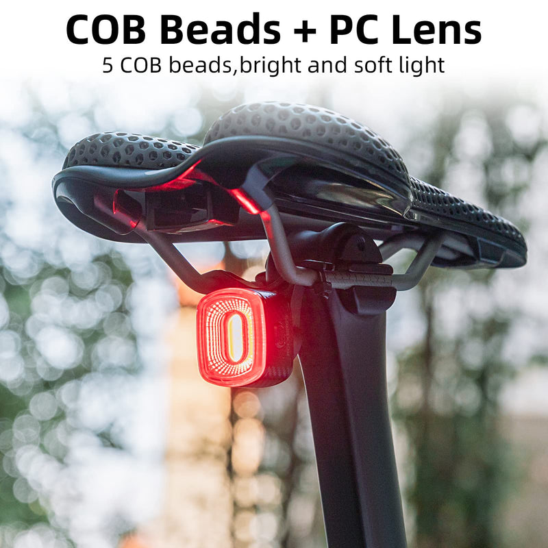 Load image into Gallery viewer, R2 Tail Light Brake Sense USB-C
