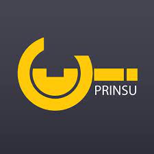 Prinsu UTV Racks