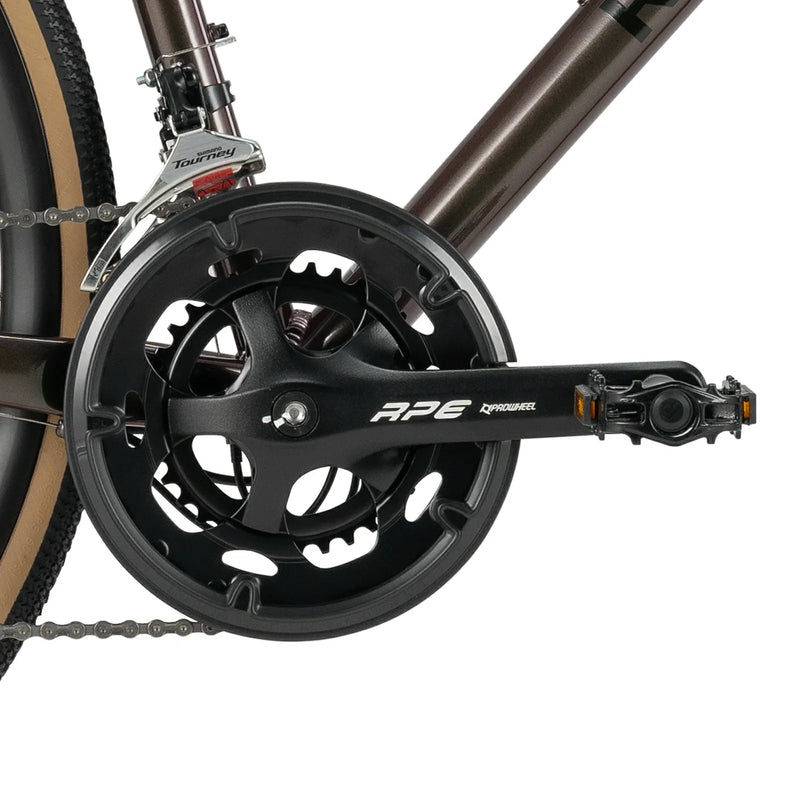Load image into Gallery viewer, RIDA-P2E Aluminum Road Bike
