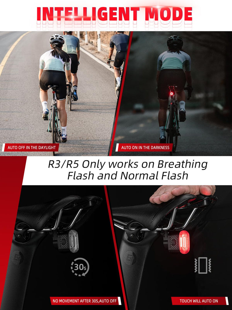 Load image into Gallery viewer, R3/R5 Tail Light Brake Sense USB-C Smart Synchronization
