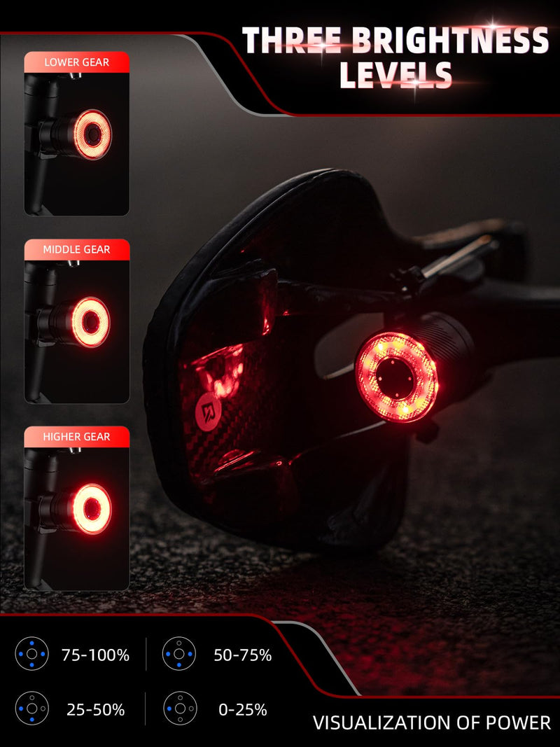 Load image into Gallery viewer, R3/R5 Tail Light Brake Sense USB-C Smart Synchronization
