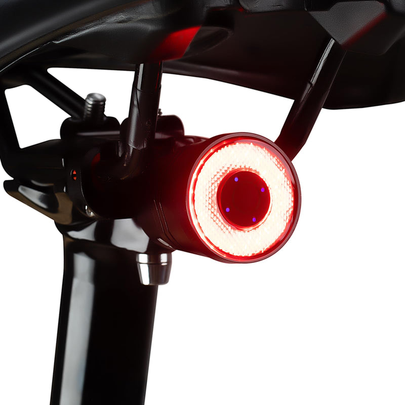 Load image into Gallery viewer, R3/R5 Tail Light Brake Sense USB-C Smart Synchronization

