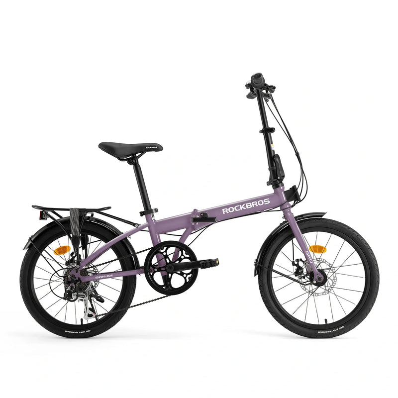 Load image into Gallery viewer, SKN - Folding Bike
