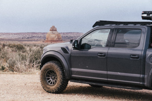 Prinsu Ford Raptor / F150 Roof Rack